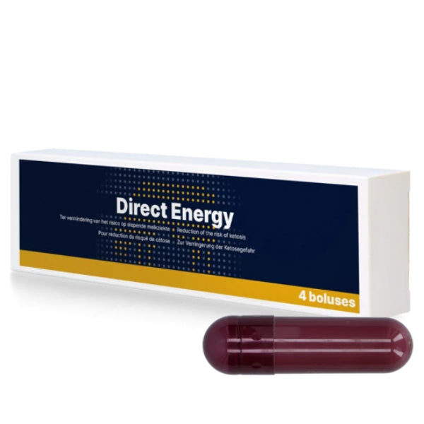 Direct Energy Bolus - tegen slepende melkziekte - 4 stuks